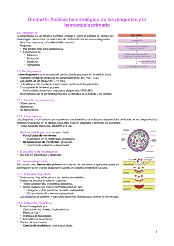Miniatura del documento Unidad-6-analisis-hematologico-de-las-plaquetas-y-la-hemostasia-primaria.pdf
