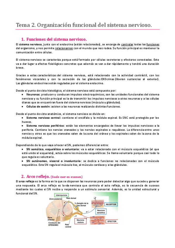 Miniatura del documento TEMA 2. SISTEMA NERVIOSO. ORGANIZACION FUNCIONAL DEL SISTEMA NERVIOSO.pdf