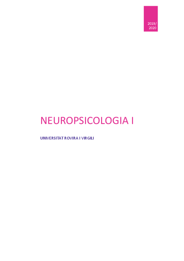 Miniatura del documento NEUROPSICOLOGIA-ITEORIA.pdf