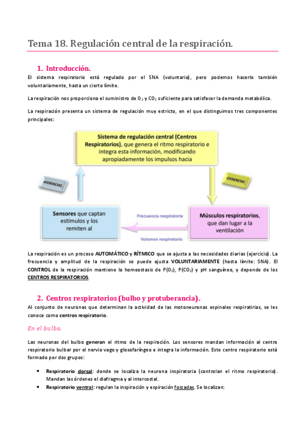 Miniatura del documento TEMA 18. SISTEMA RESPIRATORIO. REGULACIÓN CENTRAL DE LA RESPIRACIÓN.pdf