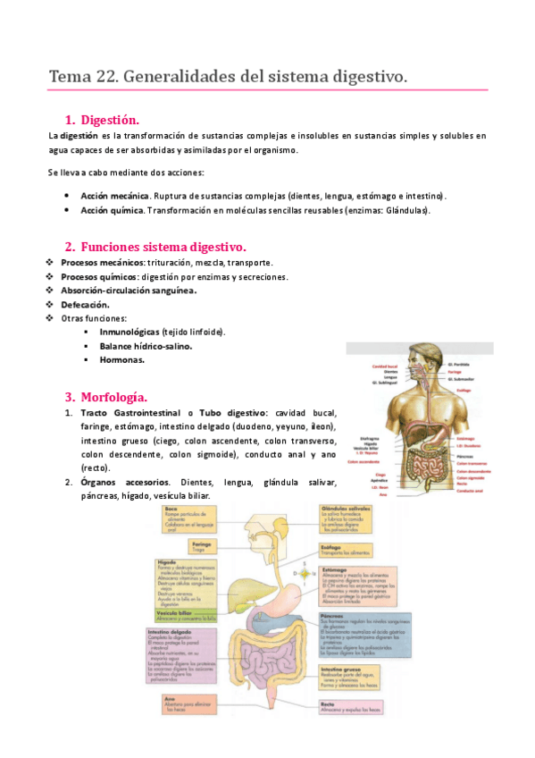 Miniatura del documento TEMA 22. SISTEMA DIGESTIVO. GENERALIDADES DEL SISTEMA DIGESTIVO.pdf