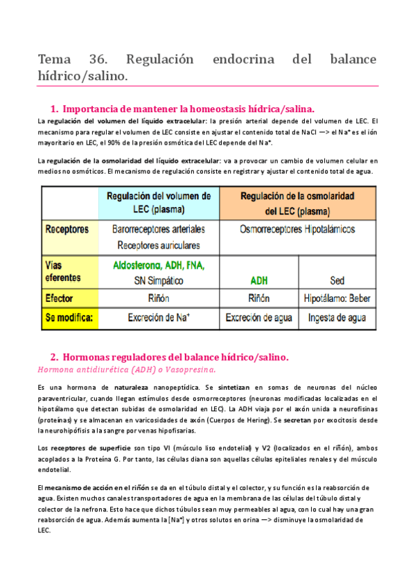 Miniatura del documento TEMA 36. SISTEMA ENDOCRINO. REGULACIÓN ENDOCRINA DEL BALANCE HÍDRICO-SALINO.pdf