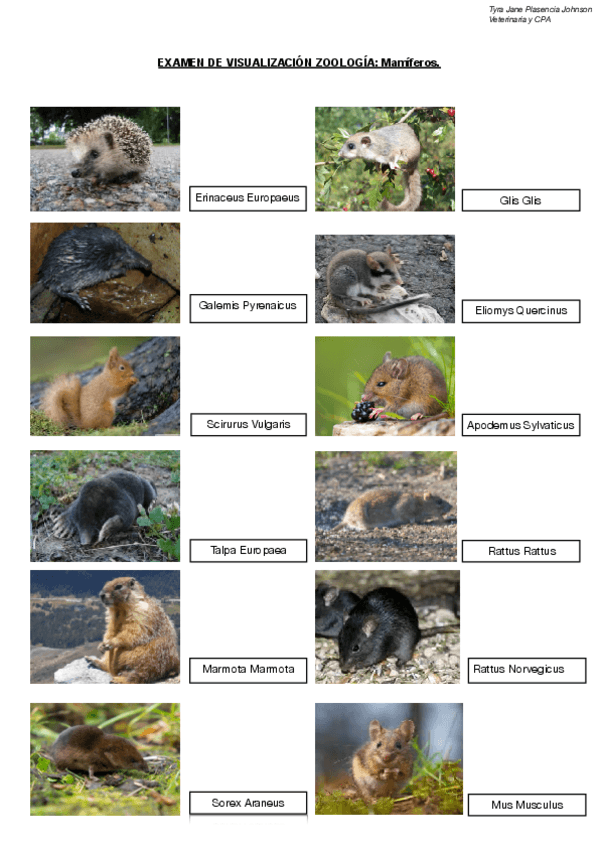 Miniatura del documento VISU MAMÍFEROS ZOO.pdf