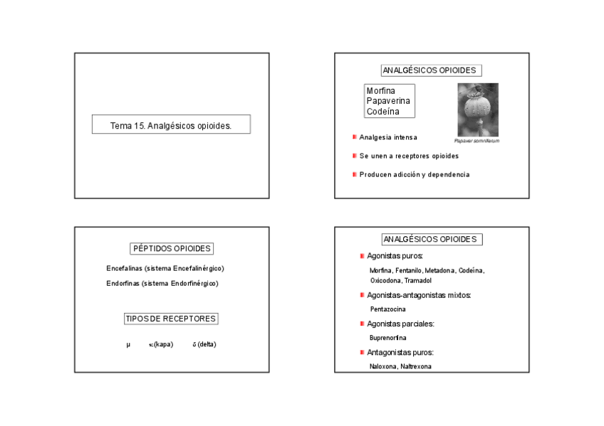 Miniatura del documento T15.-Analgesicos-opioides.pdf
