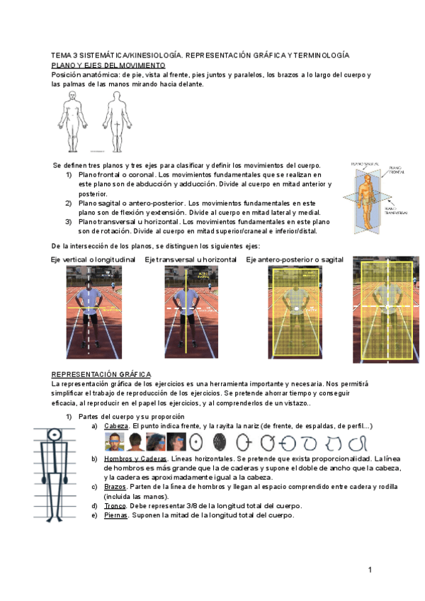 Miniatura del documento Tema-3-kinesiologia.pdf
