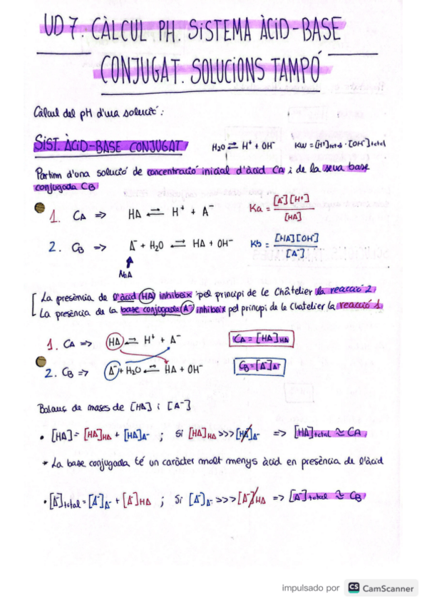 Miniatura del documento UD-7-Solucions-tampo.pdf