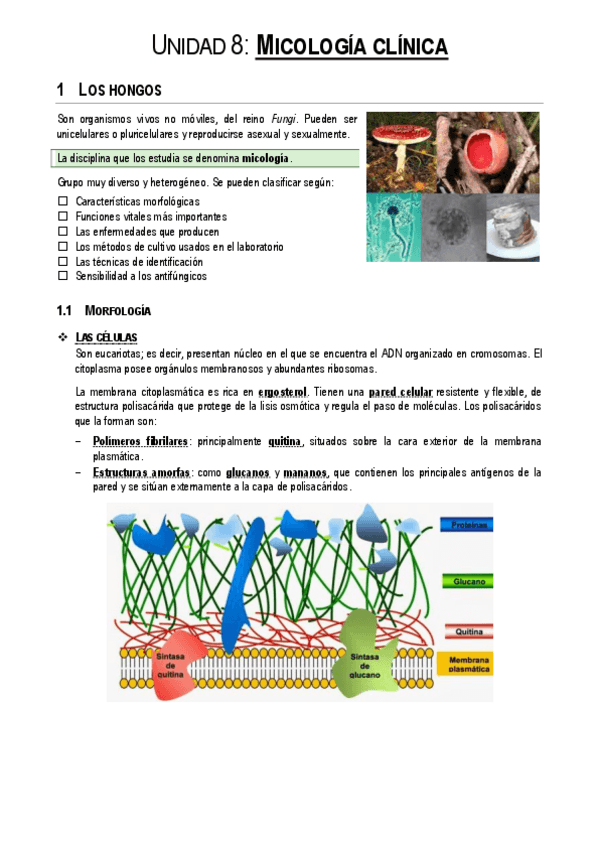 Miniatura del documento Unidad-8.pdf