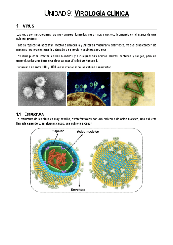 Miniatura del documento Unidad-9.pdf