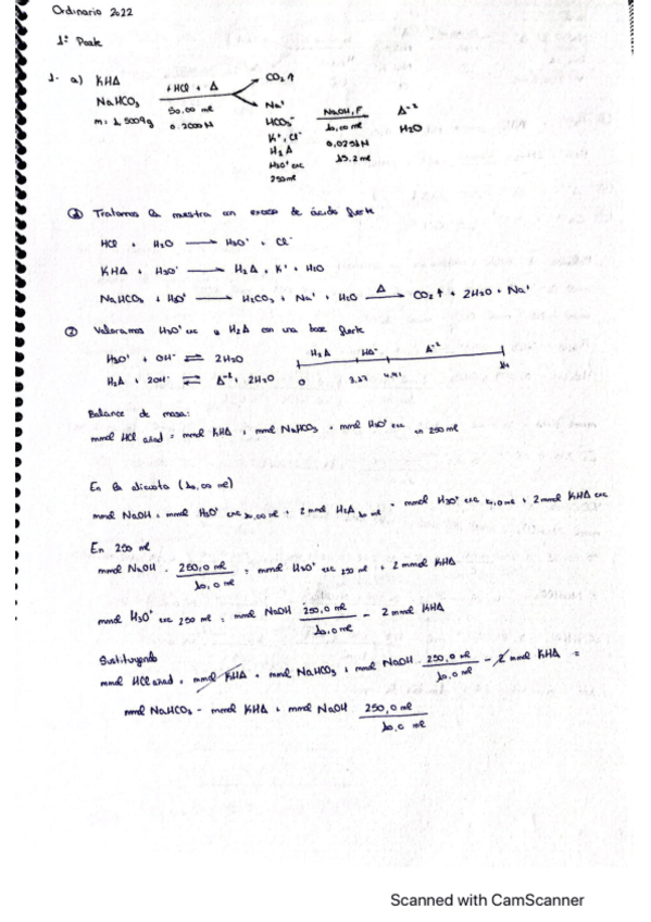 Miniatura del documento Ordinarias-resueltas-analitica.pdf