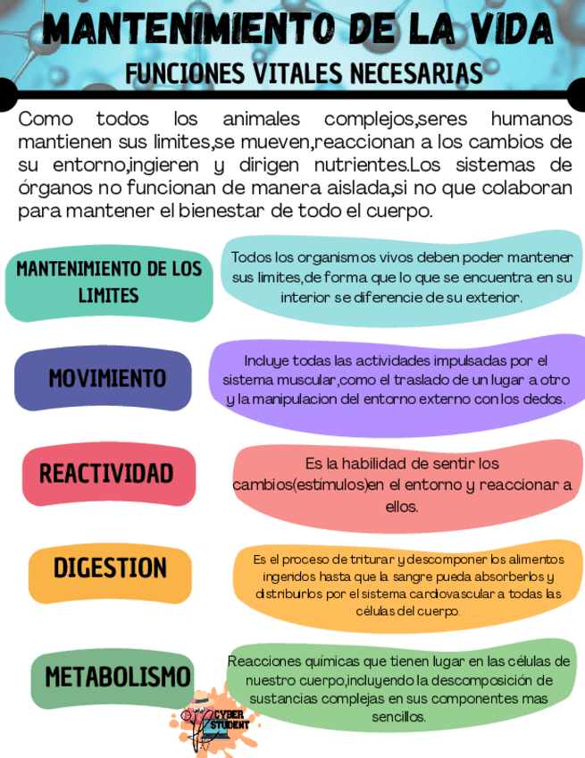 Miniatura del documento MANTENIMIENTO-DE-LA-VIDA.pdf