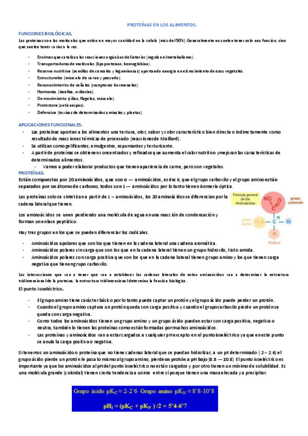 Miniatura del documento t7.-proteinas.pdf