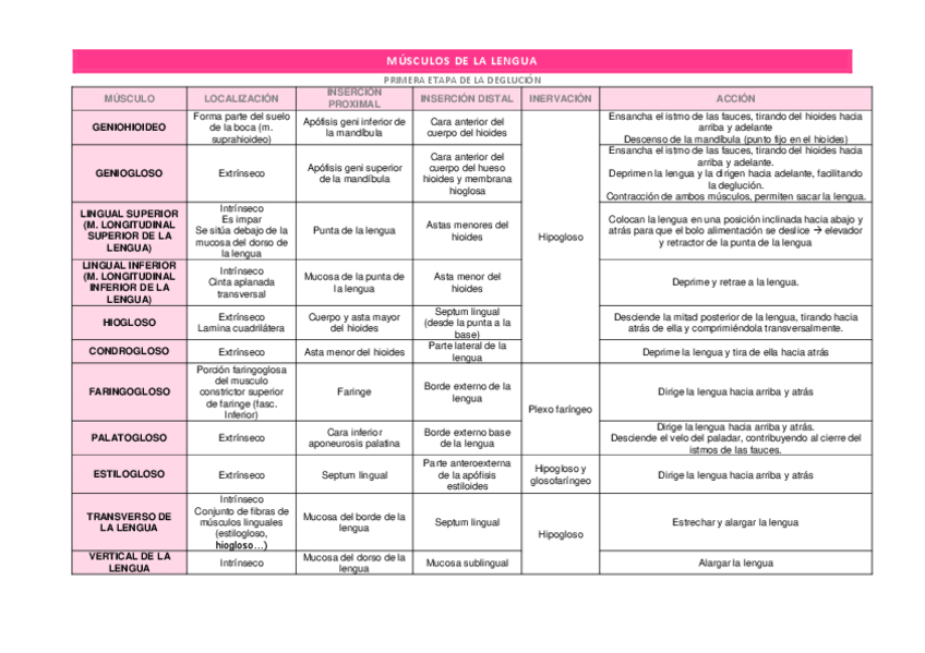 Miniatura del documento MUSCULOS-DE-LA-CABEZA.pdf