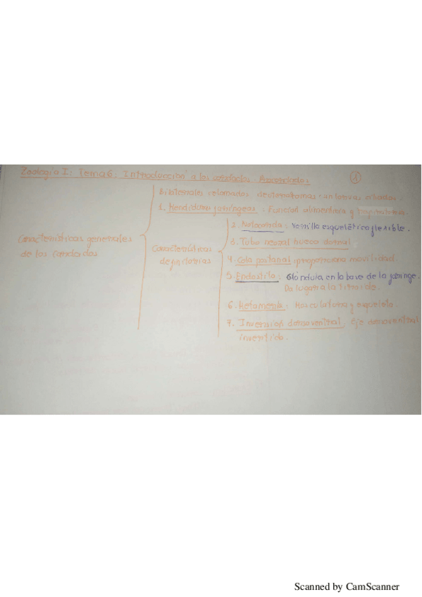 Miniatura del documento Tema 6 zoo.pdf