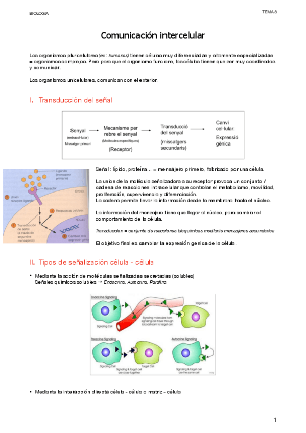 Miniatura del documento 4.3-Senalizacion-celular.pdf