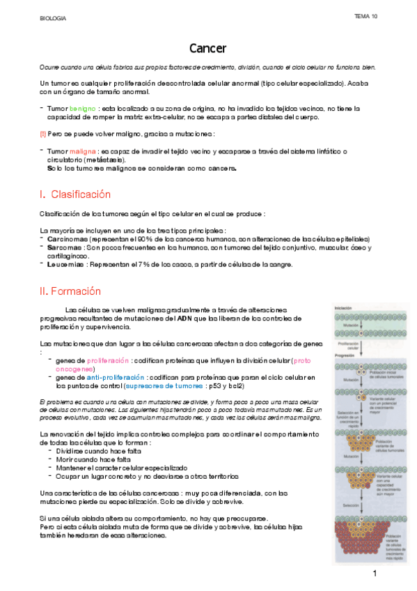 Miniatura del documento 4.5-Celulas-cancerosas.pdf