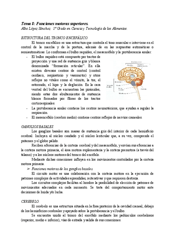 Miniatura del documento AT08-FUNCIONES-MOTORAS-SUPERIORES.pdf