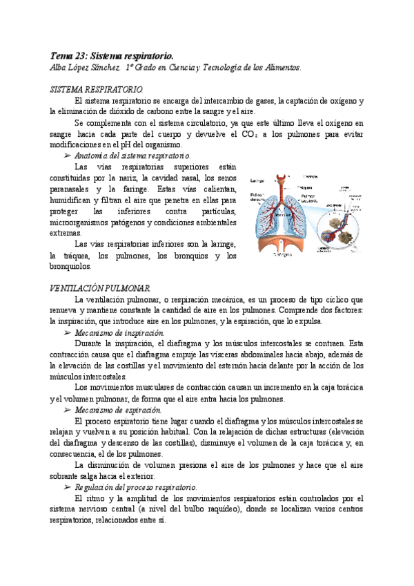 Miniatura del documento AT23-SISTEMA-RESPIRATORIO.pdf