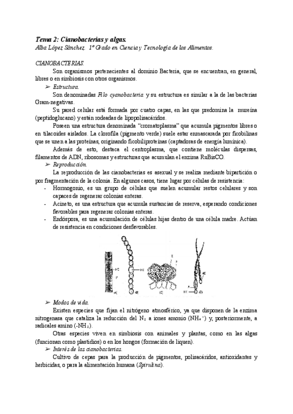 Miniatura del documento AT02-CIANOBACTERIAS-Y-ALGAS.pdf