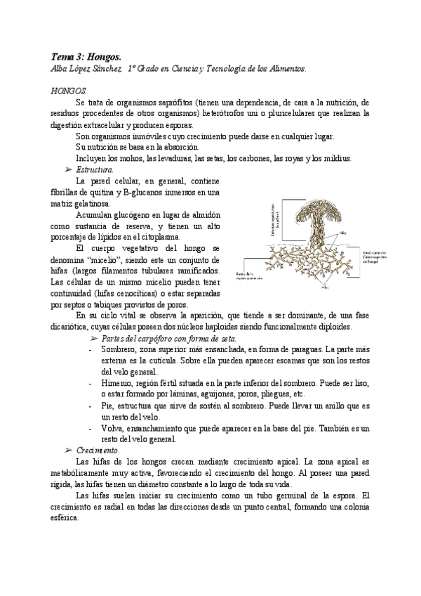 Miniatura del documento AT03-HONGOS.pdf