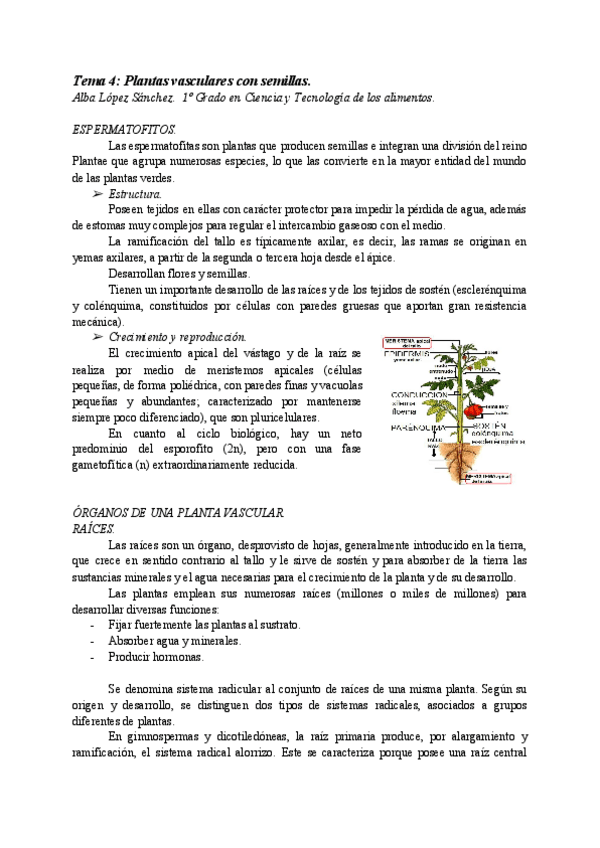 Miniatura del documento AT04-PLANTAS-VASCULARES-CON-SEMILLAS.pdf