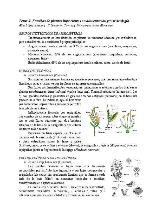 Miniatura del documento AT05-FAMILIAS-DE-PLANTAS-IMPORTANTES-ALIMENTACION-O-TOXICOLOGIA.pdf