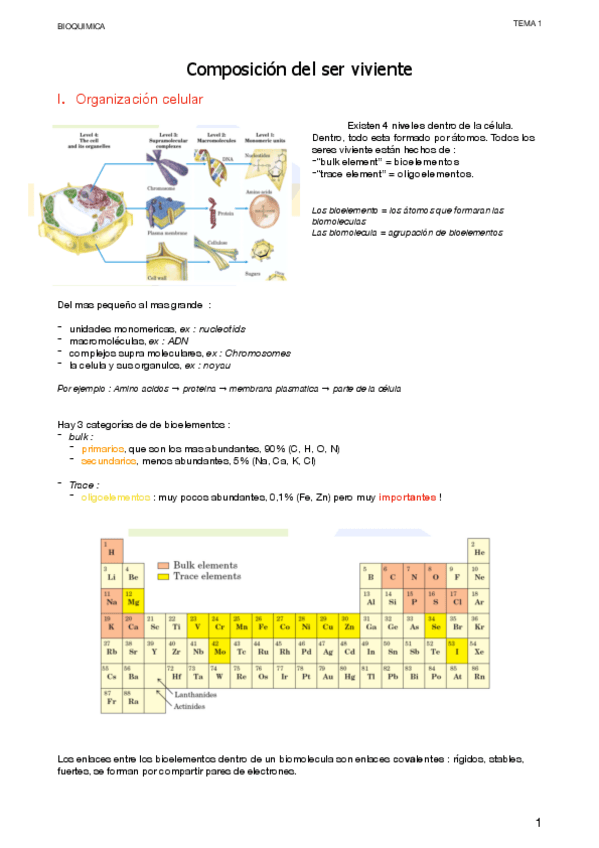 Miniatura del documento 1..pdf