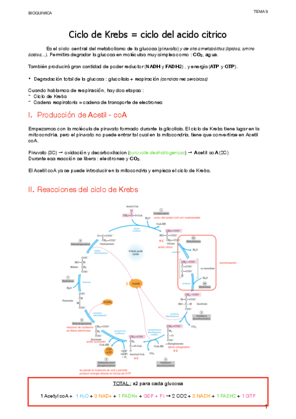 Miniatura del documento 9.-Ciclo-de-Krebs.pdf