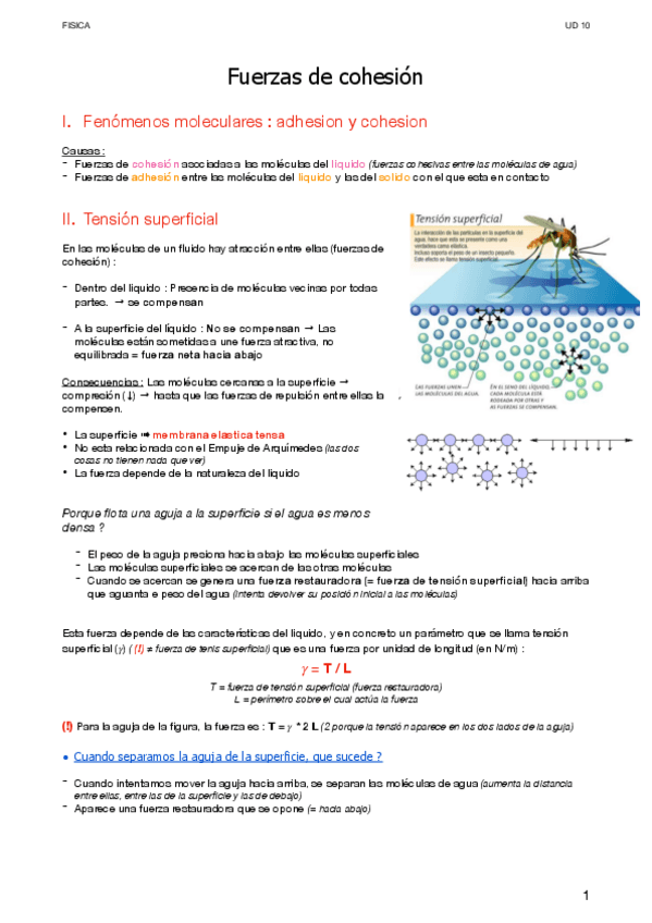 Miniatura del documento UD-10.pdf