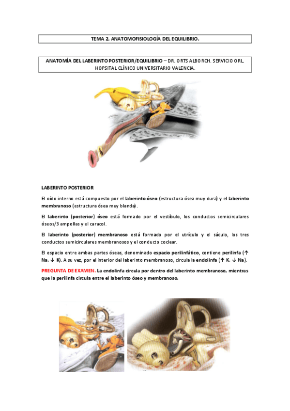 Miniatura del documento Tema-2.pdf