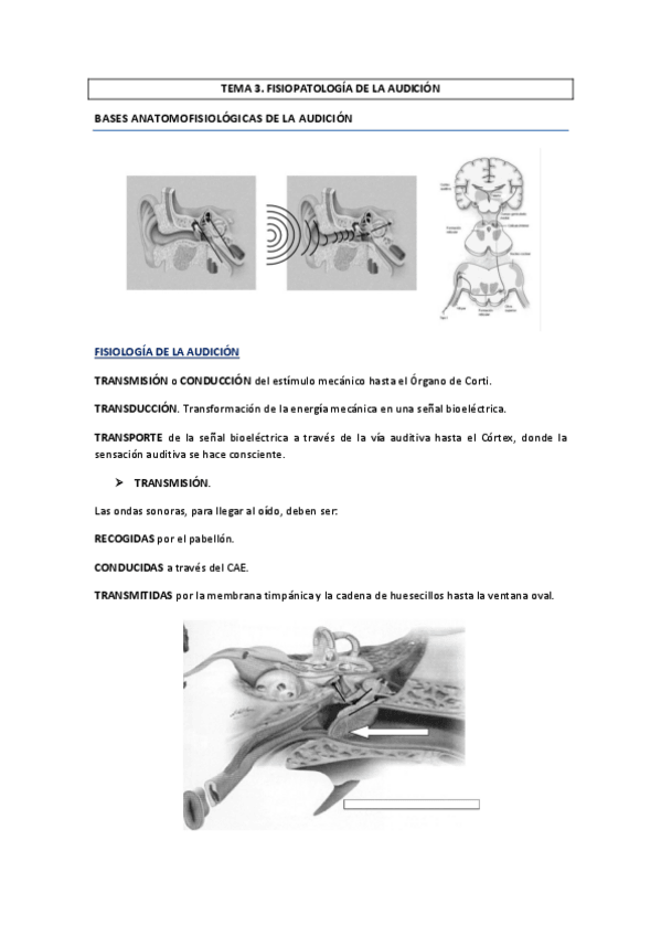 Miniatura del documento Tema-3.pdf