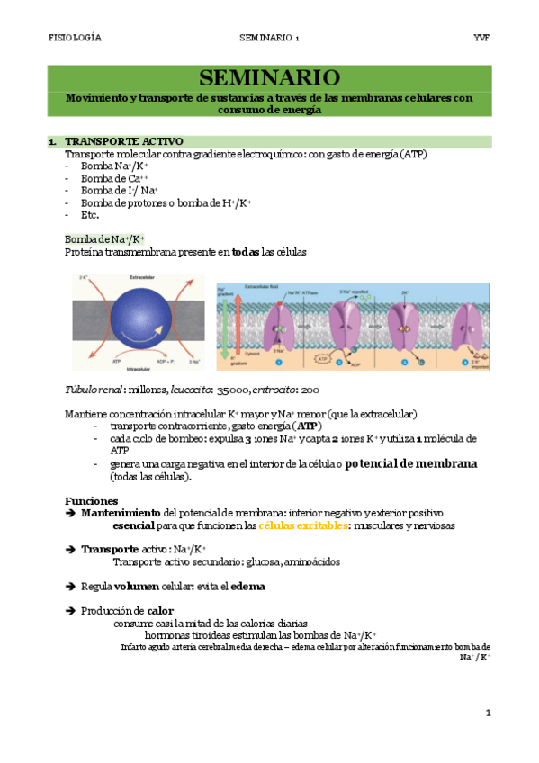 Miniatura del documento T2.-Seminario-1.pdf