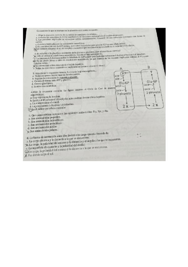 Miniatura del documento Examen-BIOQUIMICA-2022.pdf