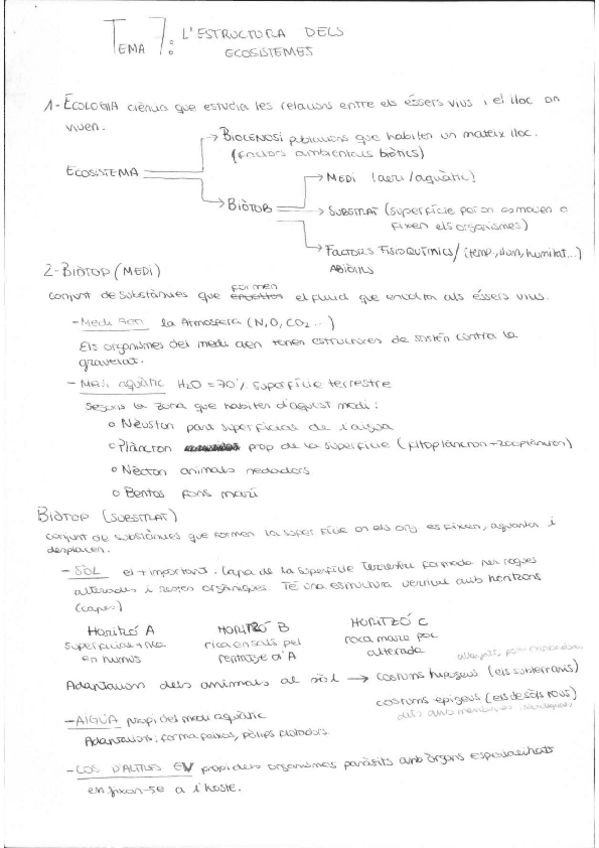 Miniatura del documento T7.-LESTRUCTURA-DELS-ECOSISTEMES.pdf