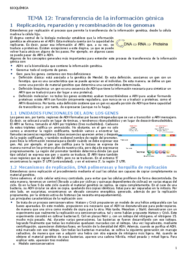 Miniatura del documento T12.-Transferencia-de-la-informacion-genica.pdf