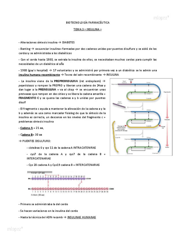 Miniatura del documento tema-3.pdf