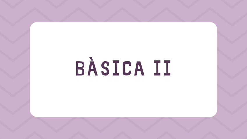 Miniatura del documento Apunts-Basica-2.pdf