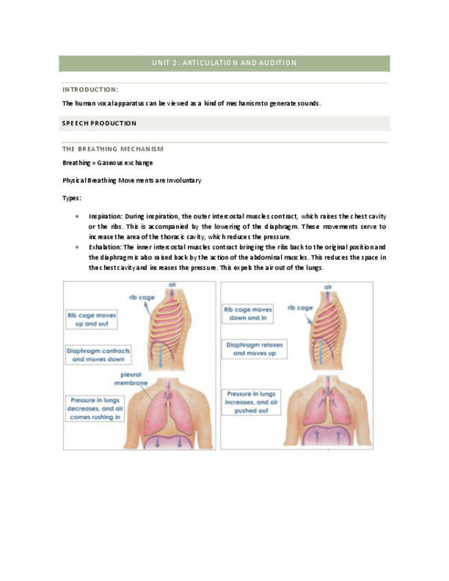 Miniatura del documento UNIT-2-ARTICULATION-AND-AUDITION.pdf
