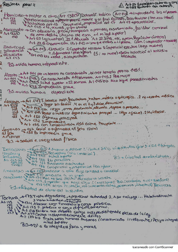 Miniatura del documento Resumen-penal-II.pdf