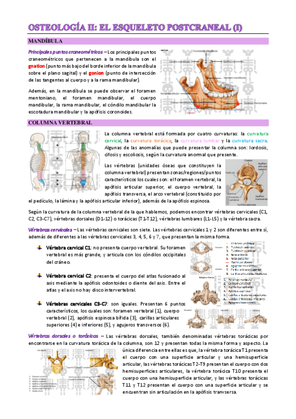 Miniatura del documento T7.pdf