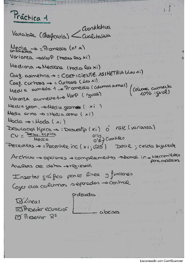 Miniatura del documento Resumen-practicas-EFI.pdf