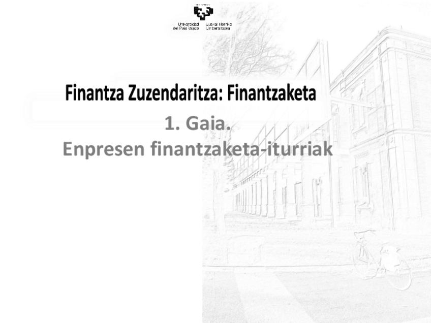 Miniatura del documento Enpresen-finantzaketa-iturriak.pdf