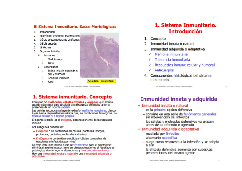 Miniatura del documento SISTEMA INMUNITARIO.docx
