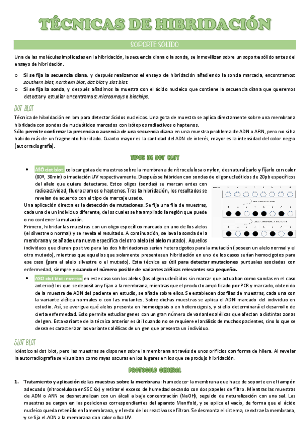 Miniatura del documento t.5.pdf