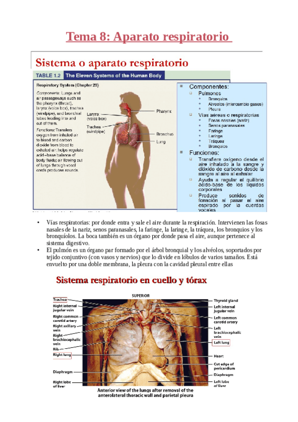 Miniatura del documento TEMA-8.pdf