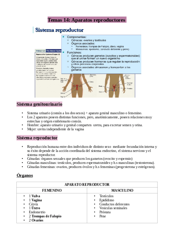 Miniatura del documento TEMA-14.pdf