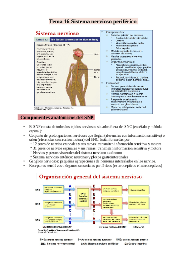 Miniatura del documento TEMA-16.pdf