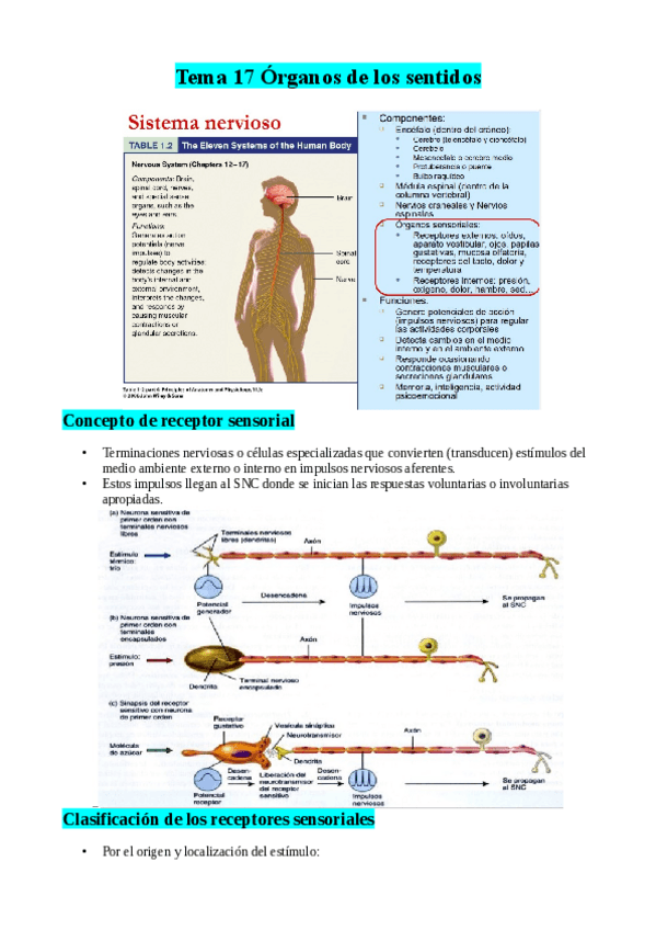 Miniatura del documento TEMA-17.pdf