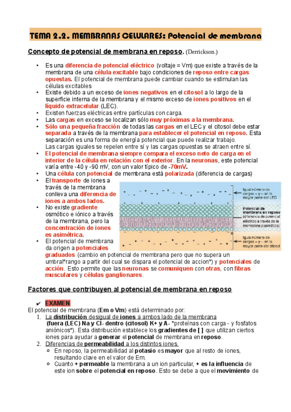 Miniatura del documento TEMA-2.2-FISIOLOGIA-GENERAL.pdf