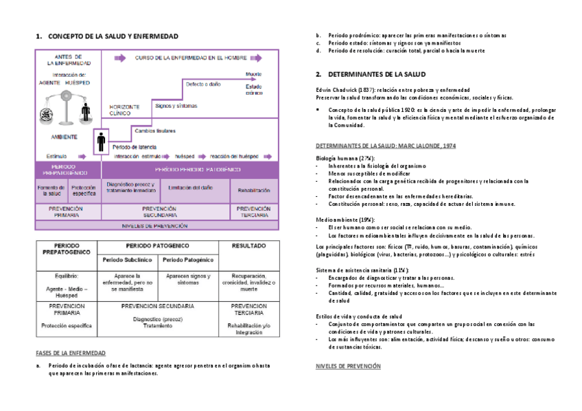 Miniatura del documento resumen-temario-seguridad-y-salud-laboral.pdf