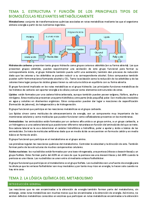 Miniatura del documento Meta-tema-1-2-3.pdf